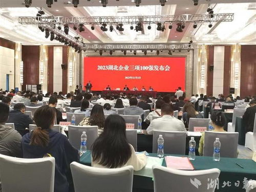 卓爾控股領(lǐng)航湖北服務(wù)業(yè)百強榜 企業(yè)管理咨詢視角下的卓越之道